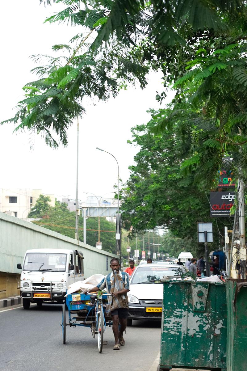 Street views, Chennai, Tamil Nadu, India
