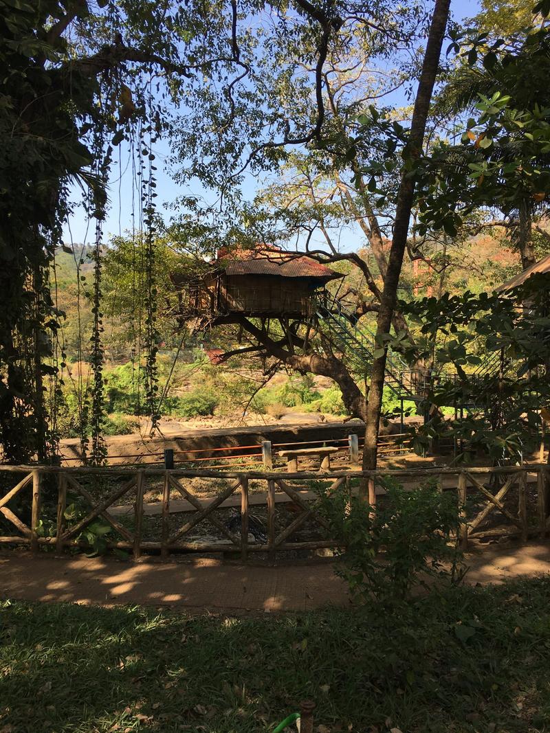 Tree house at Athirappilly Falls, Ernakulam, Kerala, India