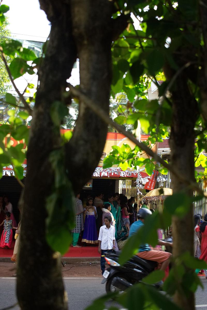 People photographed through the trees at a religious festival in Kurumassery, Ernakulam, Kerala, India