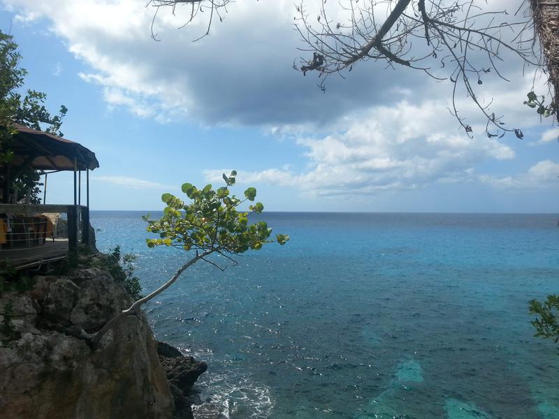 Tree on a cliff - Negril, Jamaica