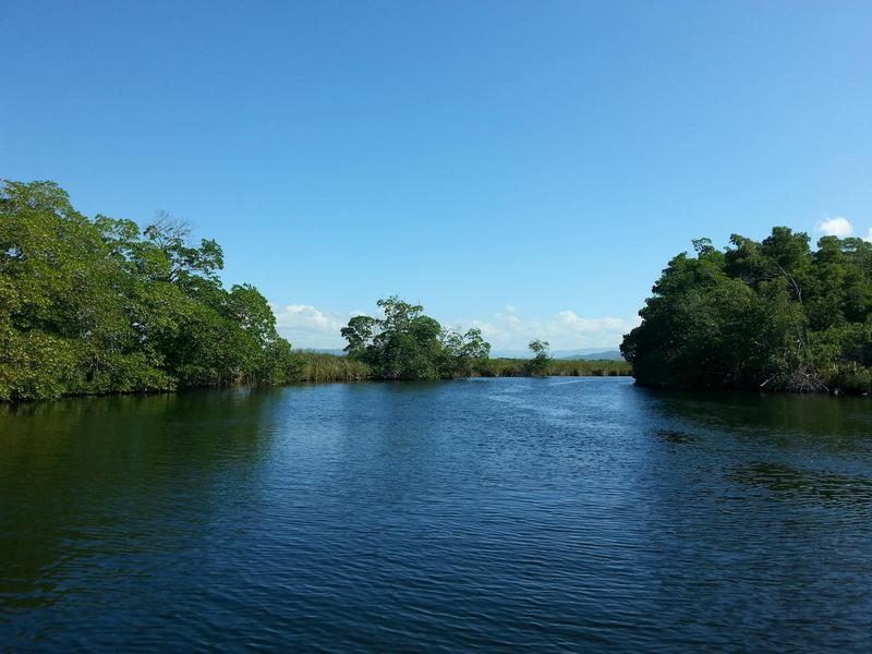 Black River, Negril, Jamaica