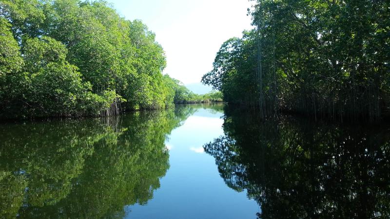 Black River reflections, Negril, Jamaica