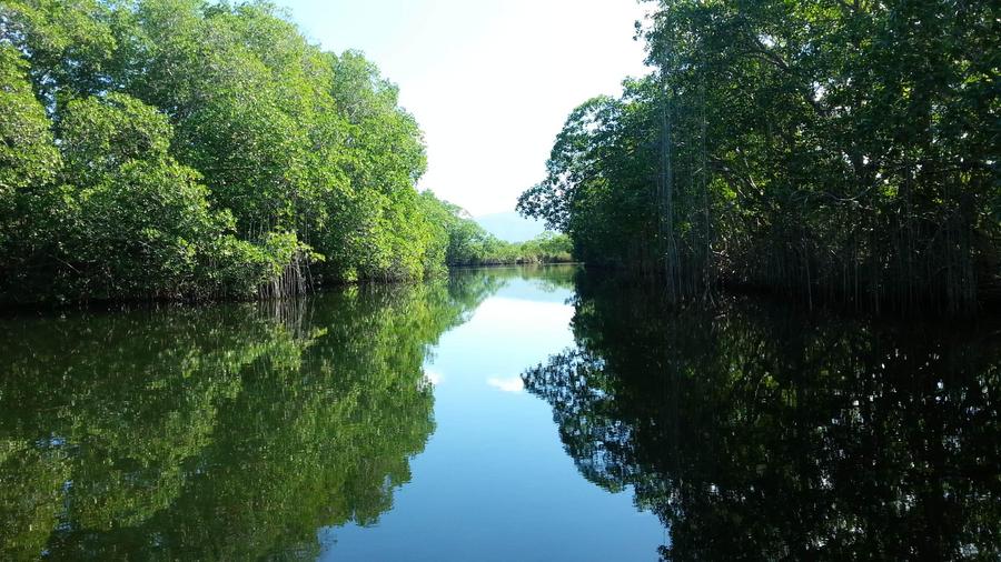 Black River reflections, Negril, Jamaica