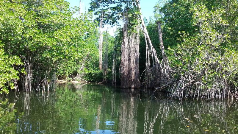 Black River, Negril, Jamaica