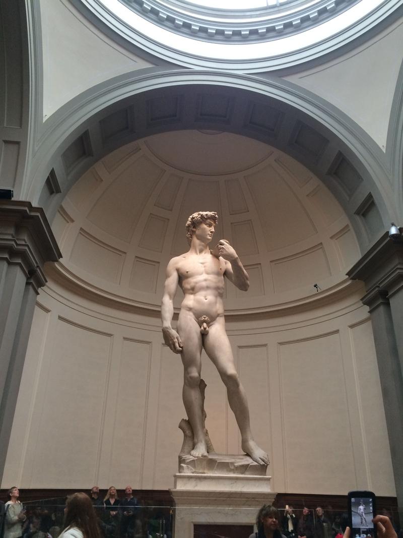 Michelangelo's The David, Accademia Gallery, Florence, Italy