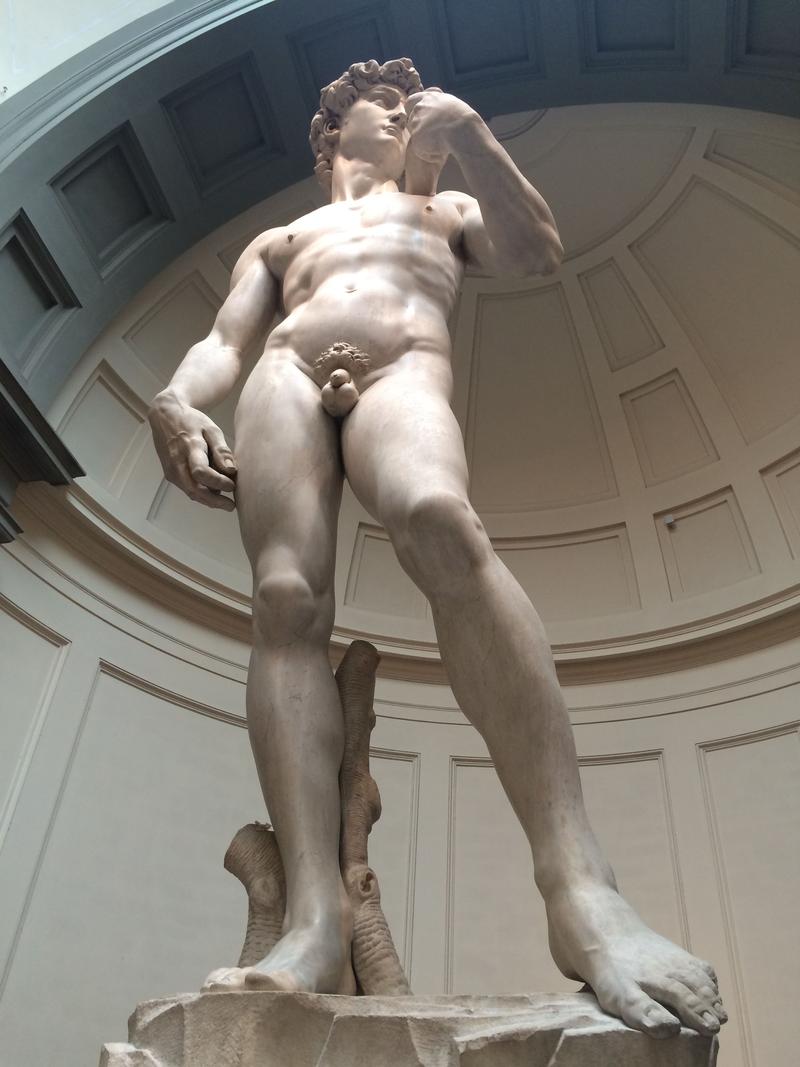 Michelangelo's The David, Accademia Gallery, Florence, Italy