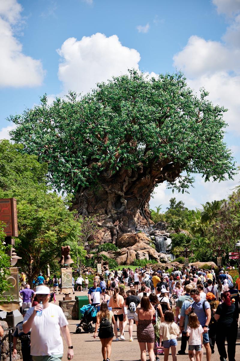 Tree of Life, Animal Kingdom, Walt Disney World.