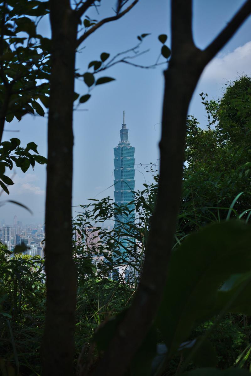 Taipei 101 as viewed from Elephant mountain – through trees, Taipei, Taiwan