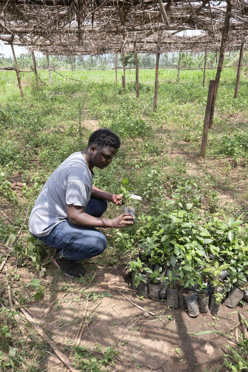 Coffee farmer, Akagera Coffee, Rwanda