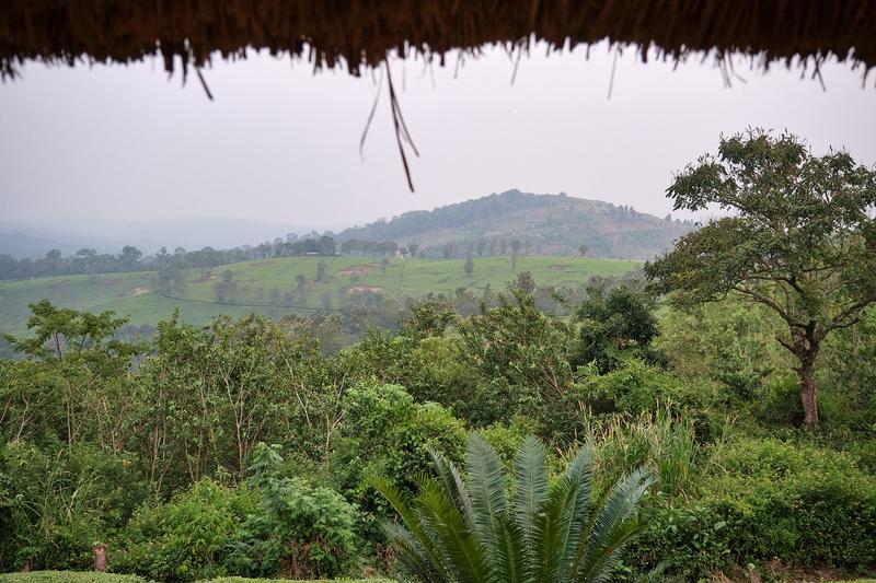 Landscape view from our grass-topped hut at Chimpanzee Lodge, Uganda