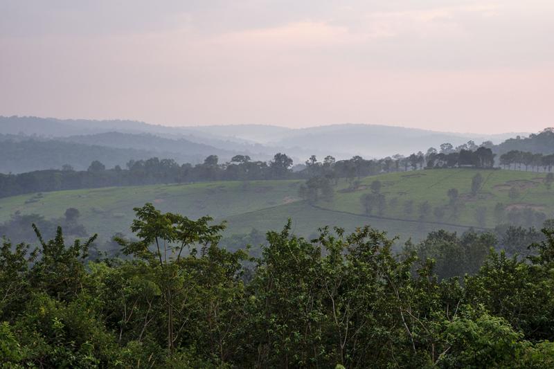 Landscape view from our grass-topped hut at Chimpanzee Lodge, Uganda