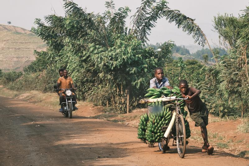 Two kids pushing a bicycle filled with bananas, Uganda