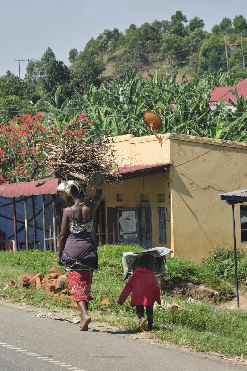 Mother walking with child and carrying a bunch of branches on their head, Uganda