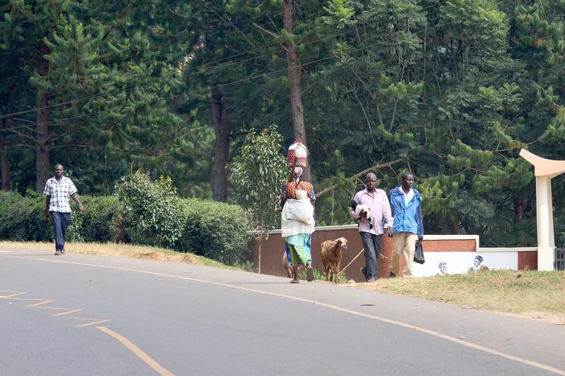 People walking along the street, one person is carrying a goat, Uganda