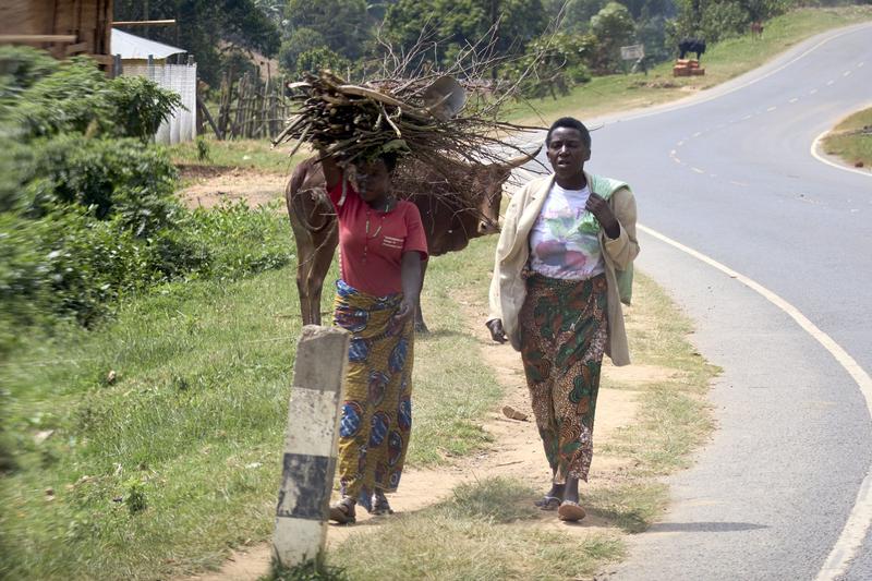 Women walking along the street, one carrying a bundle of branches on their head, Uganda