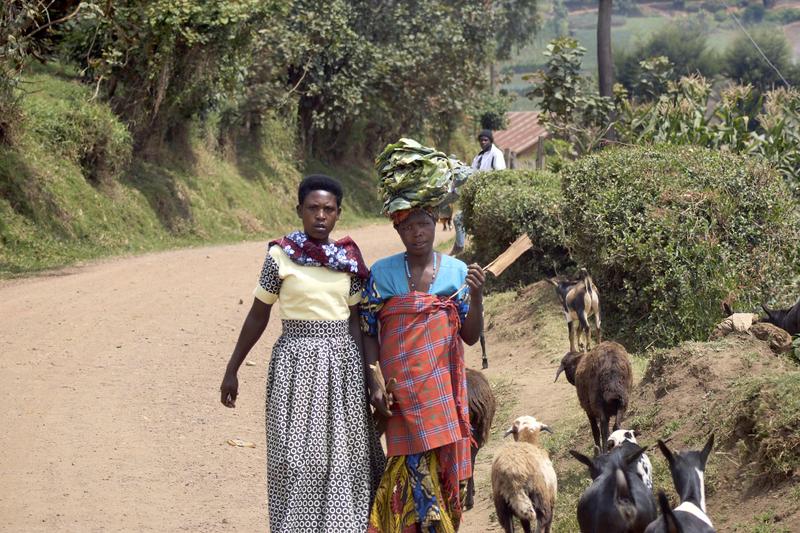 Women walking along the street, one carrying a bundle on their head, Uganda