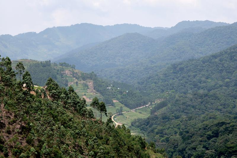 Rolling, layered hills landscape, Uganda