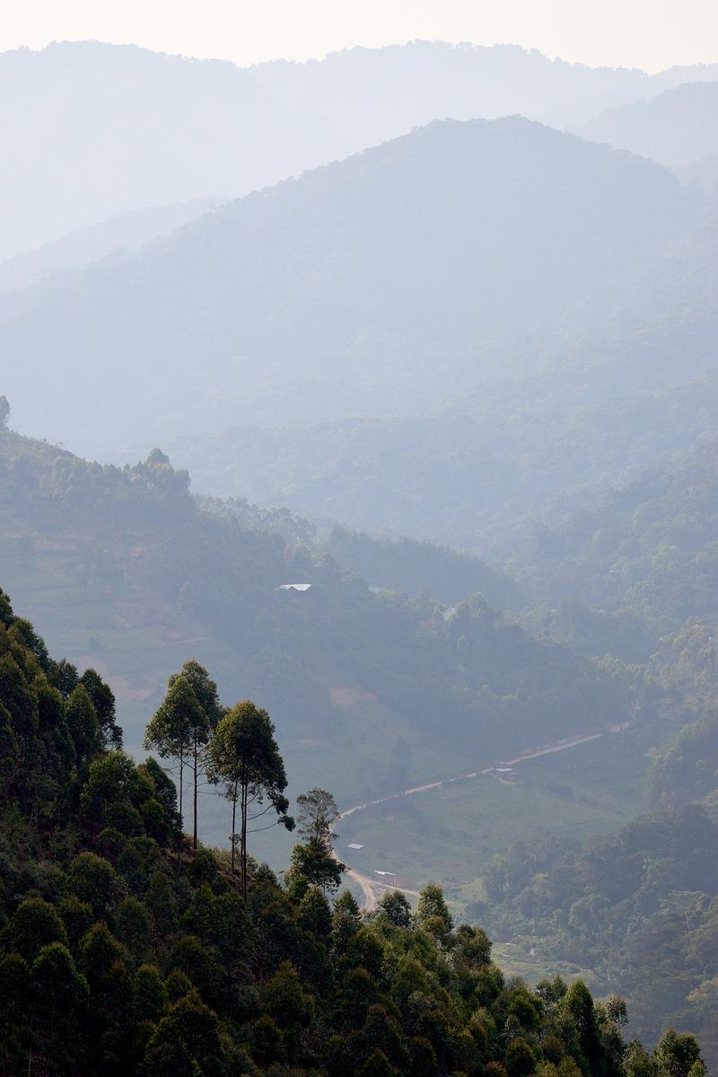Rolling, layered hills landscape, Uganda