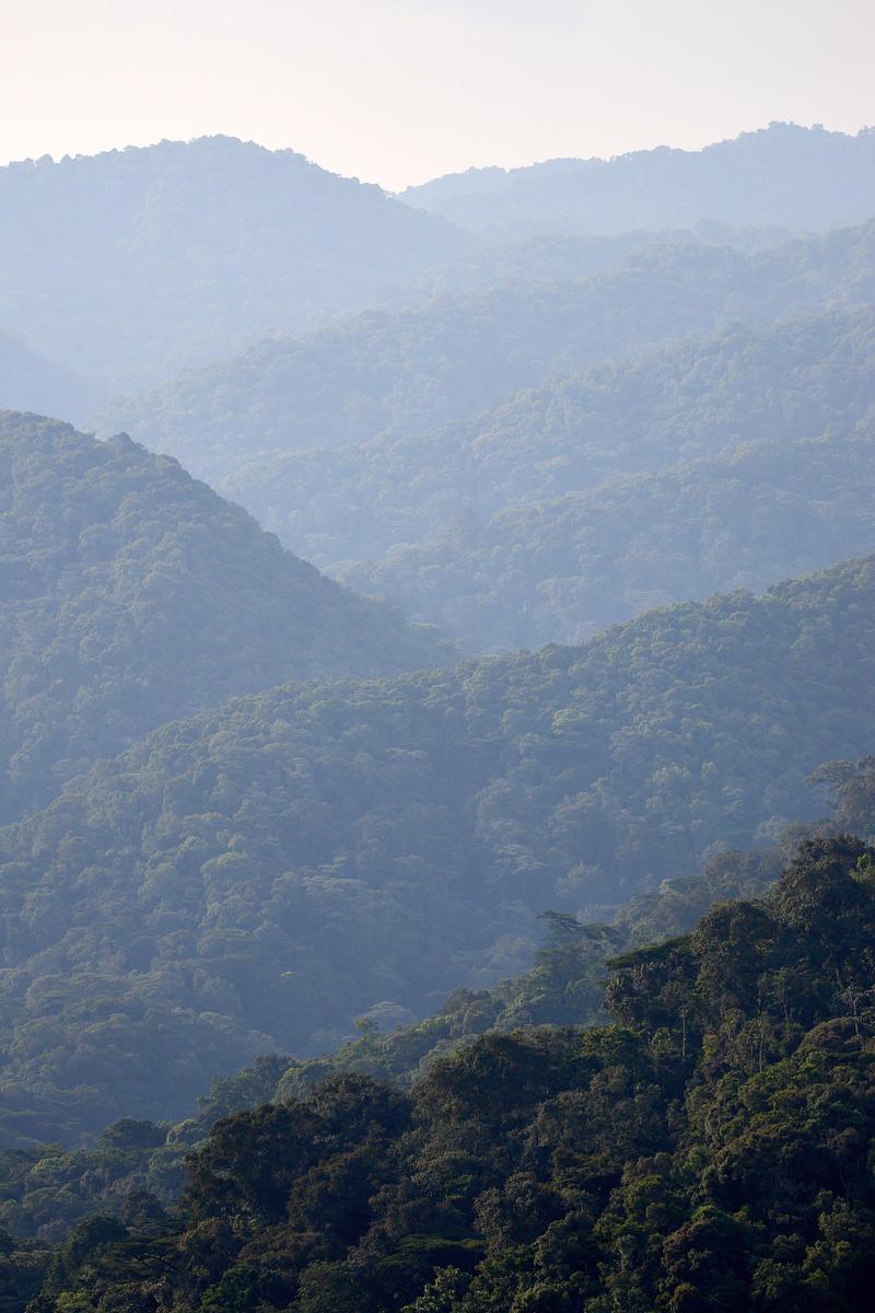 Rolling, layered hills landscape, Uganda